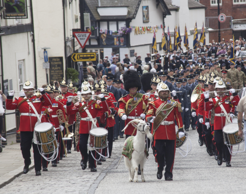 Armed Forces Day Wales 2014. Copyright Eye Imagery.